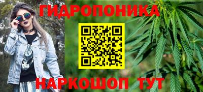 СК Обнинск