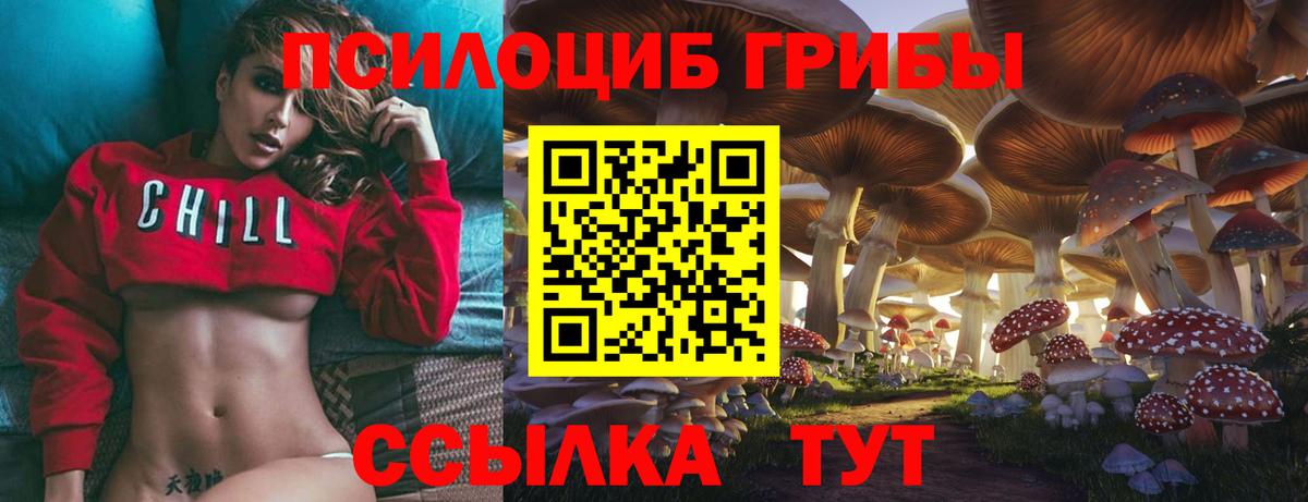 где продают   Псилоцибиновые грибы GOLDEN TEACHER  Вход с VPN  Биробиджан 