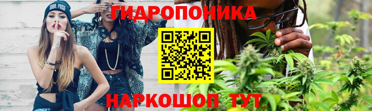 Биробиджан  Шишки марихуана Bruce Banner  Вход с VPN  Бошки марихуана White Widow  Бошки марихуана марихуана 